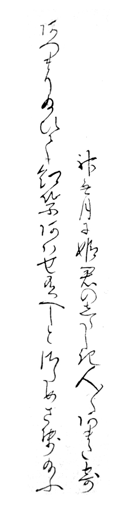 f:id:KihiminHamame:20190216000620j:plain