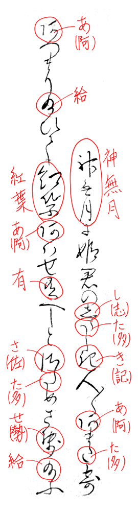 f:id:KihiminHamame:20190216000625j:plain