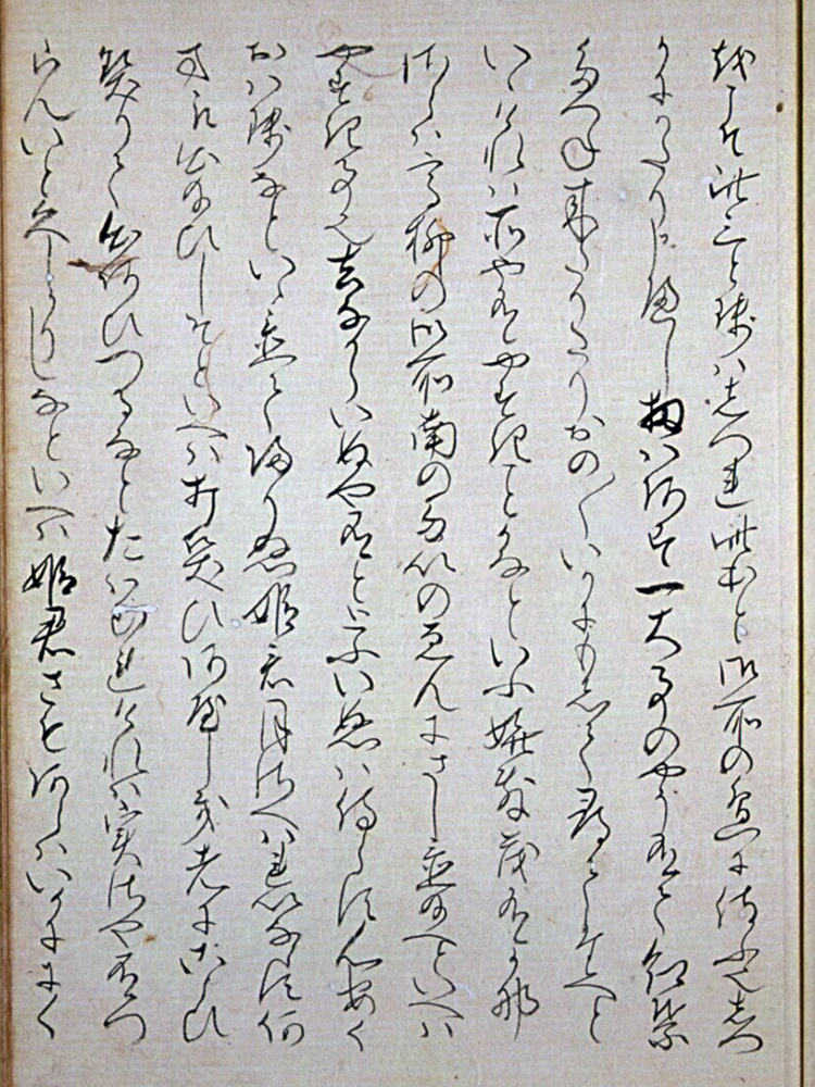 f:id:KihiminHamame:20190225005356j:plain