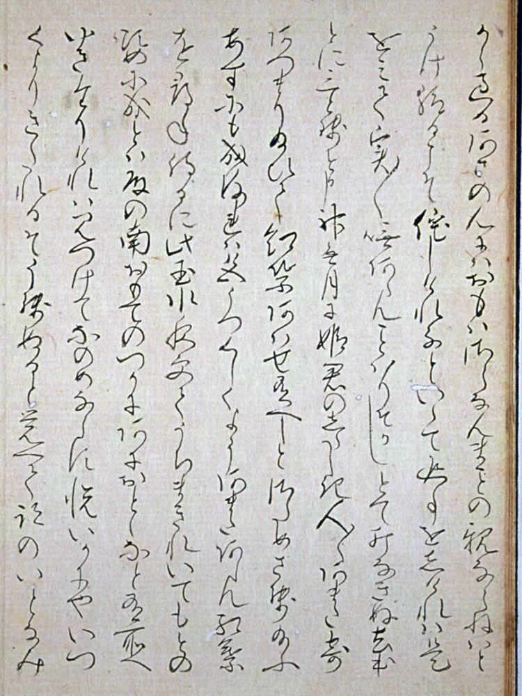 f:id:KihiminHamame:20190225005401j:plain