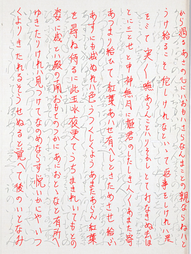 f:id:KihiminHamame:20190225005411j:plain