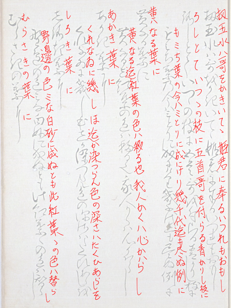 f:id:KihiminHamame:20190320194850j:plain f:id:KihiminHamame:20190320194850j:plain