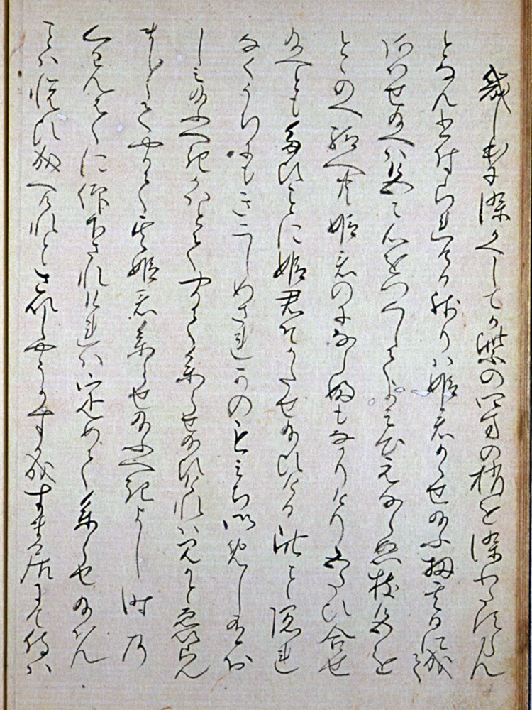 f:id:KihiminHamame:20190324182837j:plain