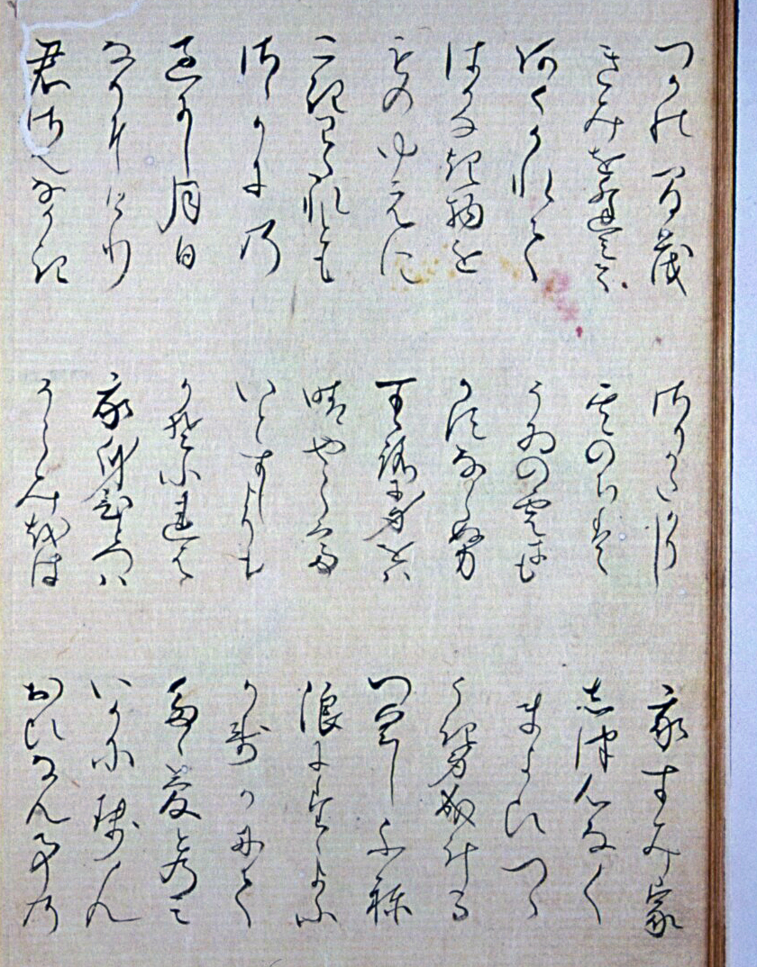 f:id:KihiminHamame:20190709212434j:plain f:id:KihiminHamame:20190709212434j:plain