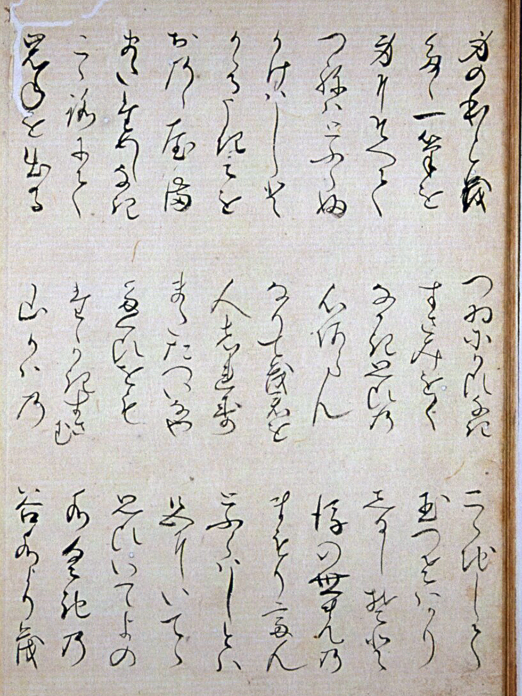 f:id:KihiminHamame:20190709212457j:plain f:id:KihiminHamame:20190709212457j:plain