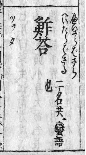 f:id:KihiminHamame:20200211210227j:plain