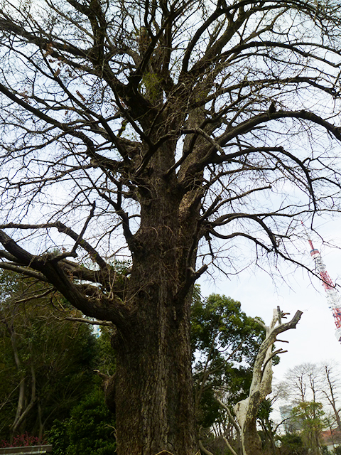 f:id:KihiminHamame:20200929005000j:plain f:id:KihiminHamame:20200929005000j:plain