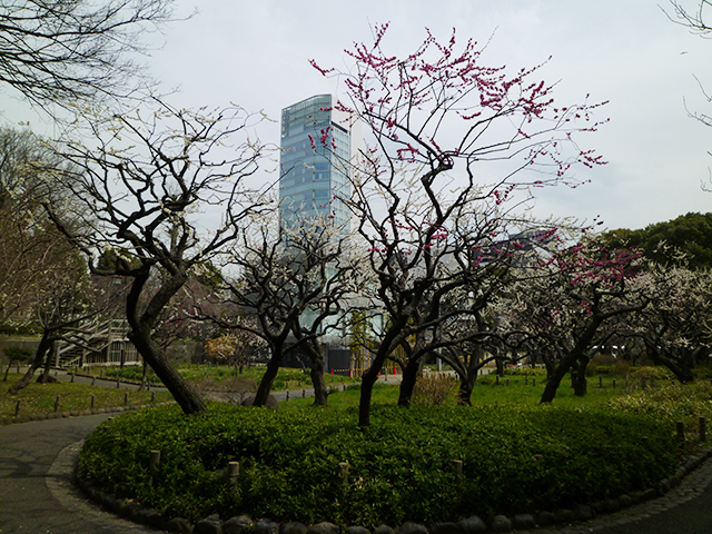 f:id:KihiminHamame:20200929005014j:plain f:id:KihiminHamame:20200929005014j:plain