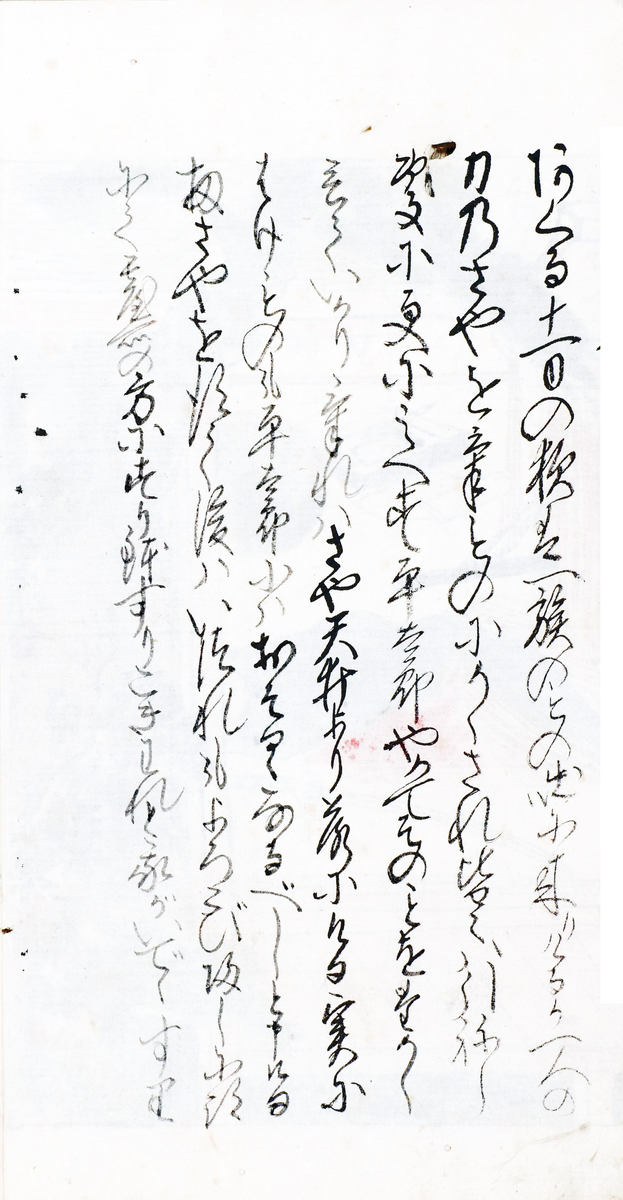 f:id:KihiminHamame:20211028152142j:plain