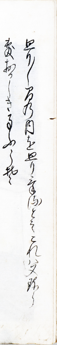 f:id:KihiminHamame:20211028152152j:plain