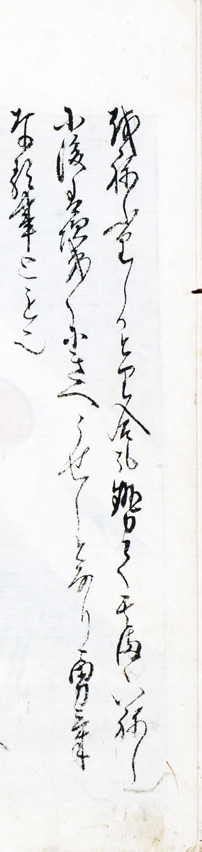 f:id:KihiminHamame:20211101144826j:plain