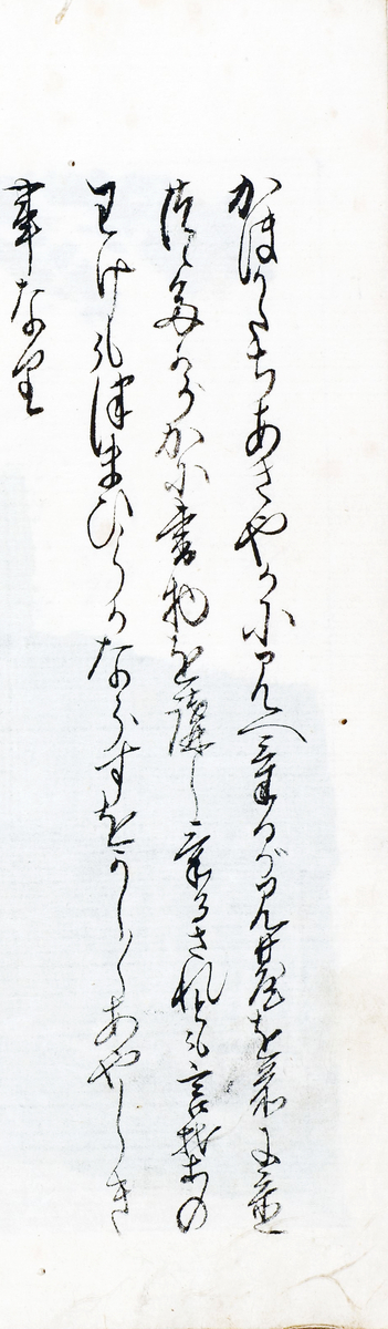 f:id:KihiminHamame:20211109162242j:plain