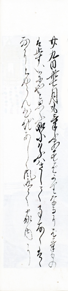 f:id:KihiminHamame:20211122005845j:plain