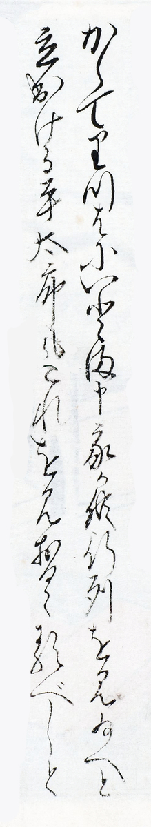 f:id:KihiminHamame:20211123171904j:plain