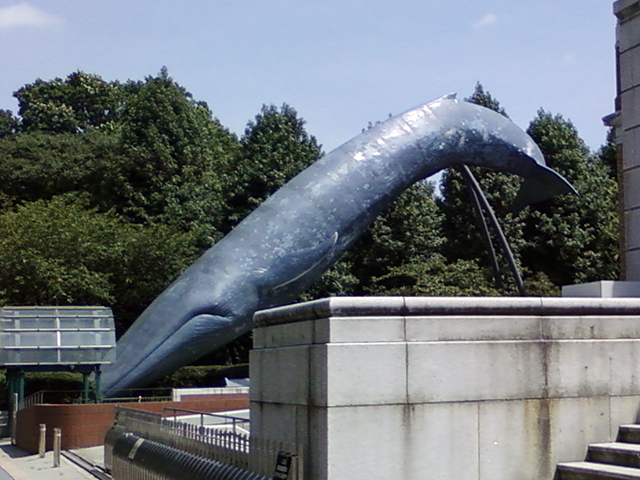 f:id:KihiminHamame:20220201003906j:plain