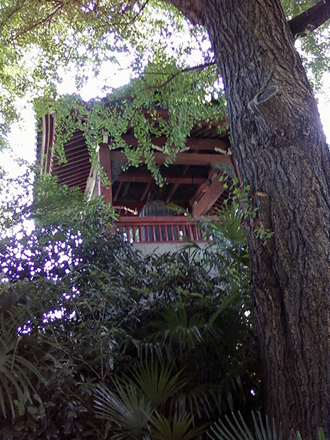 f:id:KihiminHamame:20220201004122j:plain