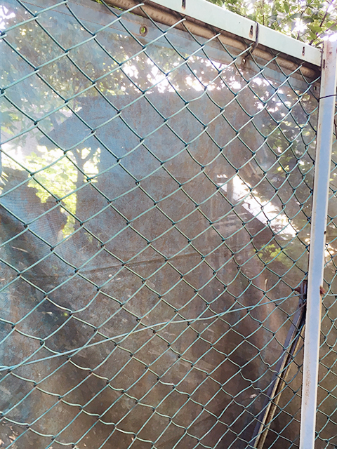 f:id:KihiminHamame:20220201004316j:plain