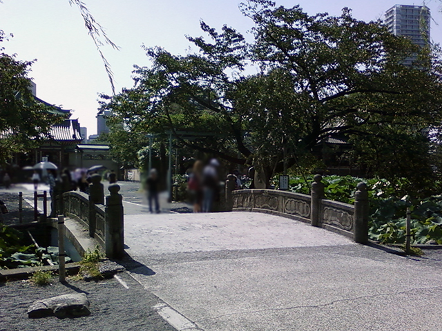 f:id:KihiminHamame:20220201004458j:plain