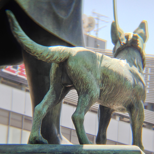 f:id:KihiminHamame:20220201004802j:plain