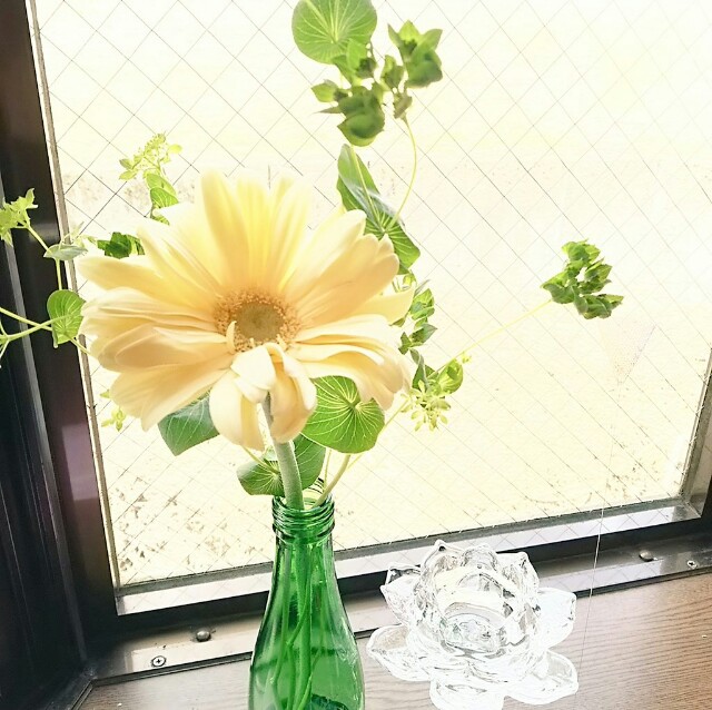 f:id:Kiiko:20160306213548j:image f:id:Kiiko:20160306213548j:image