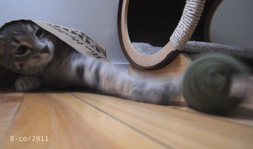 f:id:KijiB-co:20160502074414p:plain