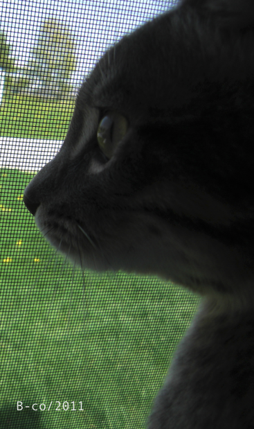 f:id:KijiB-co:20160503055204p:plain f:id:KijiB-co:20160503055204p:plain