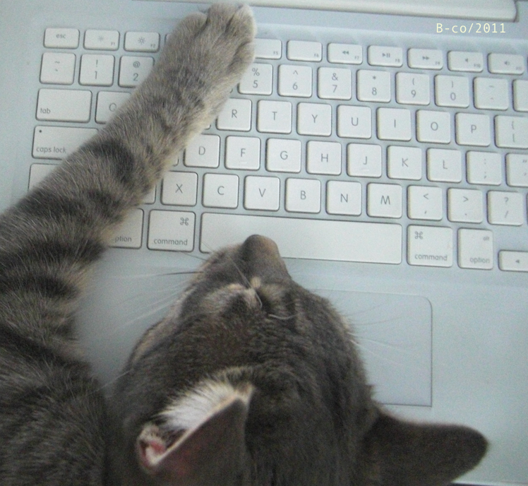 f:id:KijiB-co:20160503121246p:plain