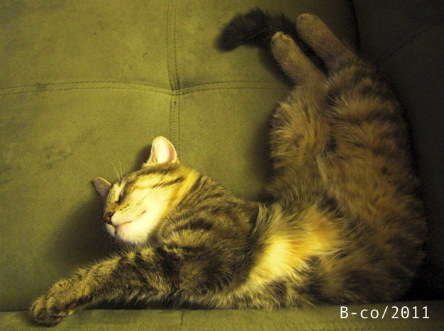 f:id:KijiB-co:20160630010553p:plain