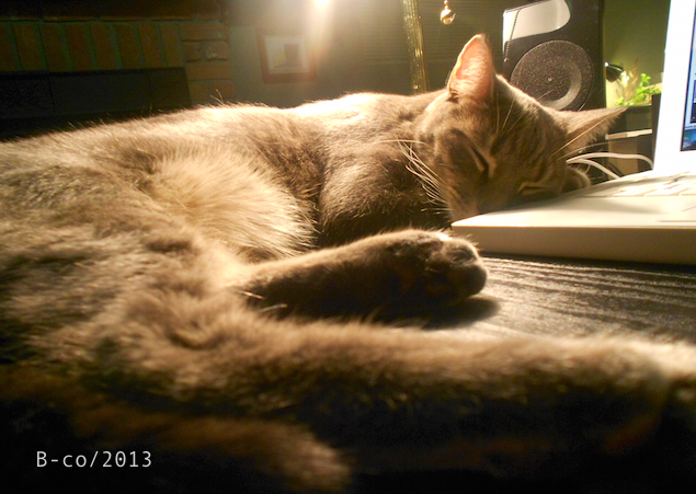 f:id:KijiB-co:20160730161738p:plain