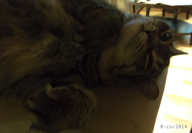 f:id:KijiB-co:20160924012612p:plain