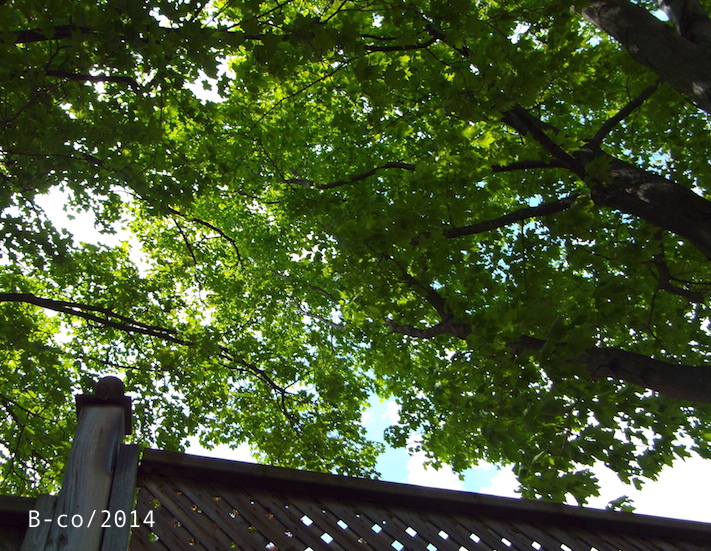 f:id:KijiB-co:20160925025700p:plain