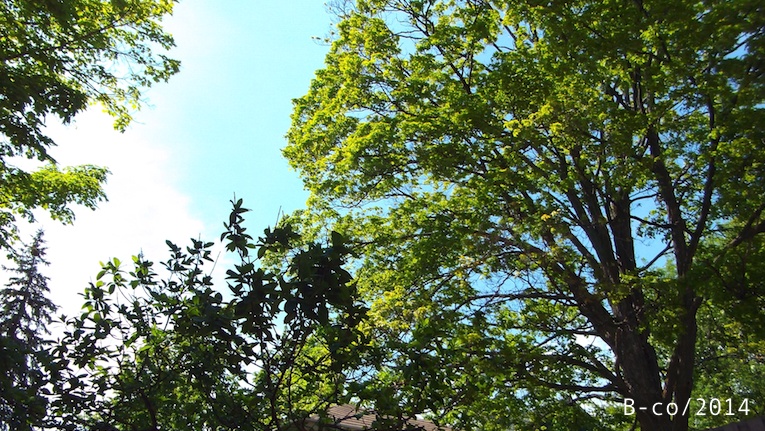 f:id:KijiB-co:20160925031115p:plain