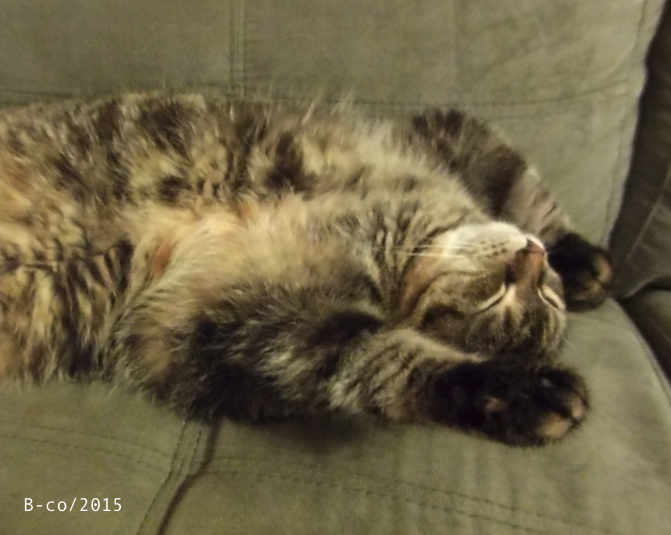 f:id:KijiB-co:20170114044007p:plain