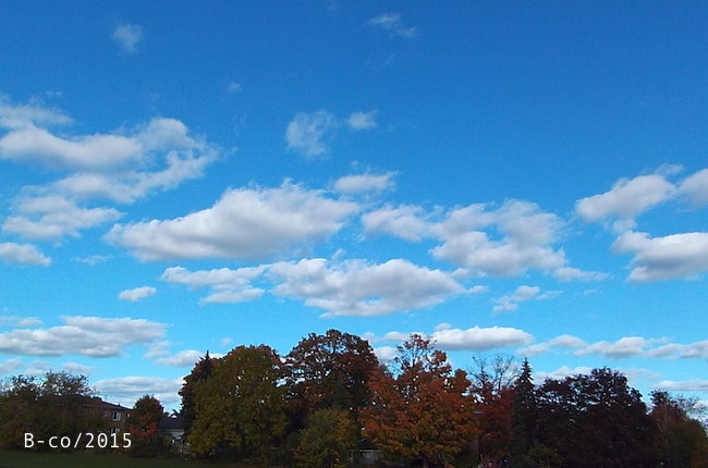 f:id:KijiB-co:20170114074857p:plain