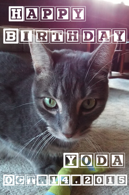 f:id:KijiB-co:20170114074925p:plain