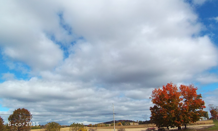 f:id:KijiB-co:20170114080607p:plain