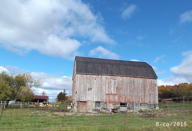 f:id:KijiB-co:20170114080624p:plain