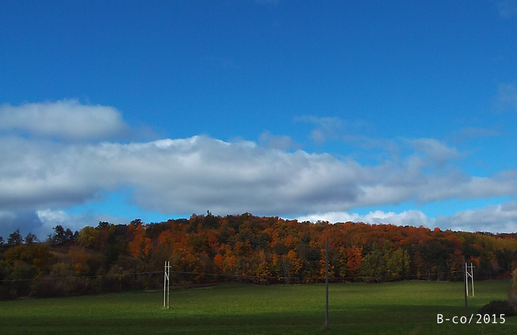 f:id:KijiB-co:20170114080759p:plain