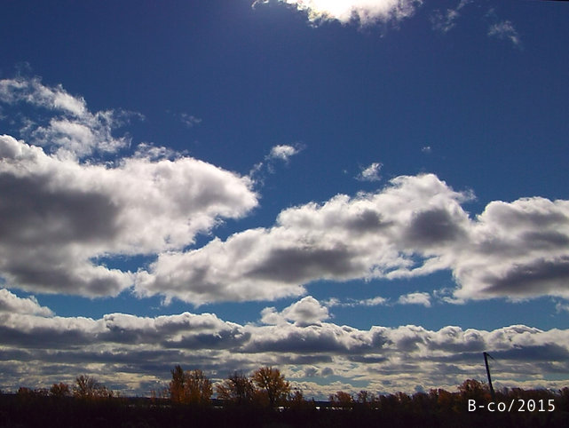 f:id:KijiB-co:20170114080820p:plain