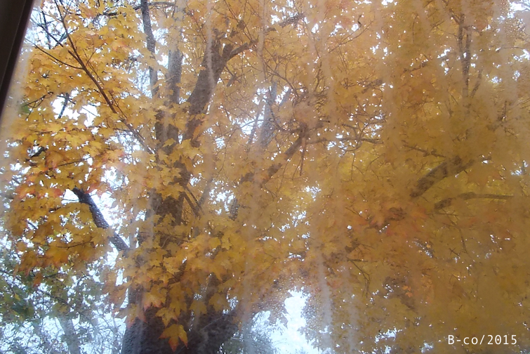 f:id:KijiB-co:20170114083413p:plain