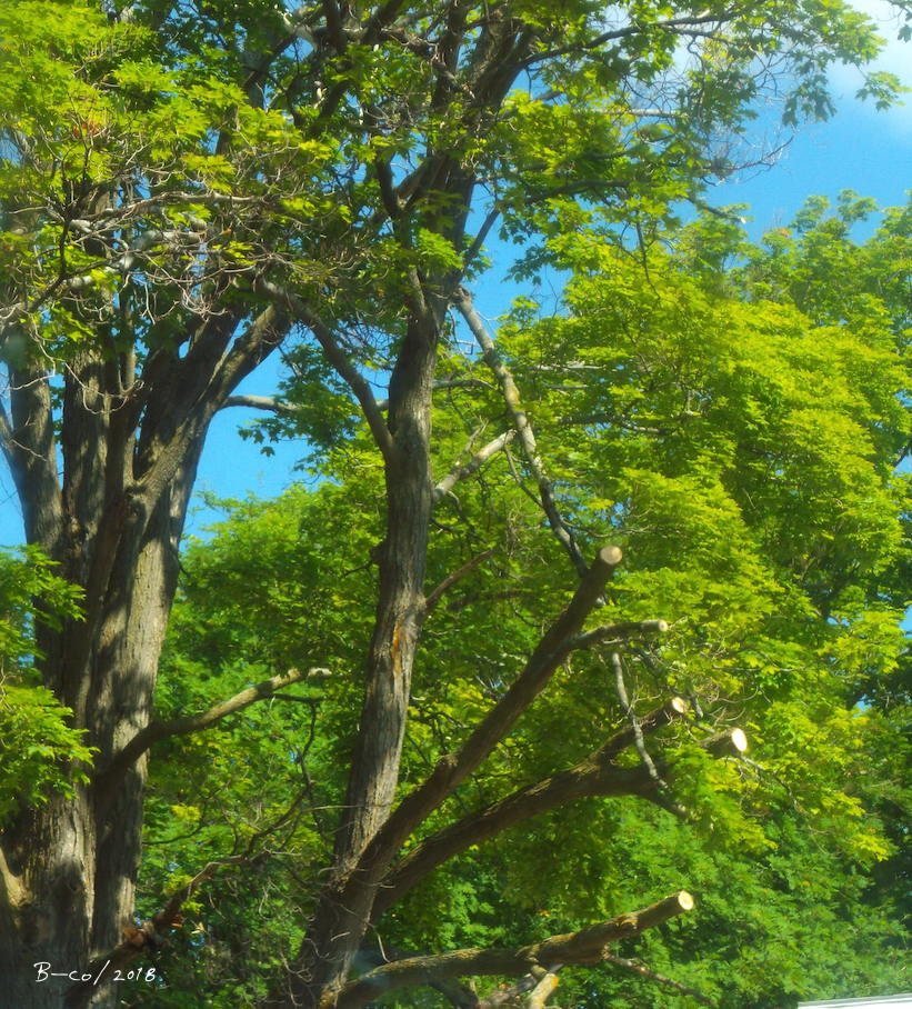 f:id:KijiB-co:20180724114505p:plain f:id:KijiB-co:20180724114505p:plain