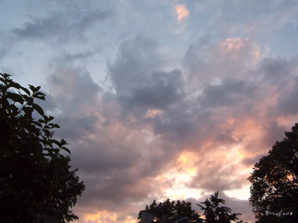 f:id:KijiB-co:20180724114803p:plain f:id:KijiB-co:20180724114803p:plain
