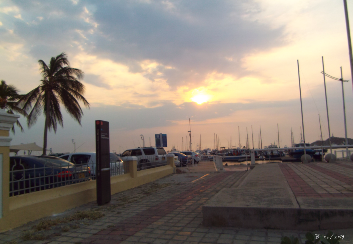 f:id:KijiB-co:20190629090534p:plain f:id:KijiB-co:20190629090534p:plain