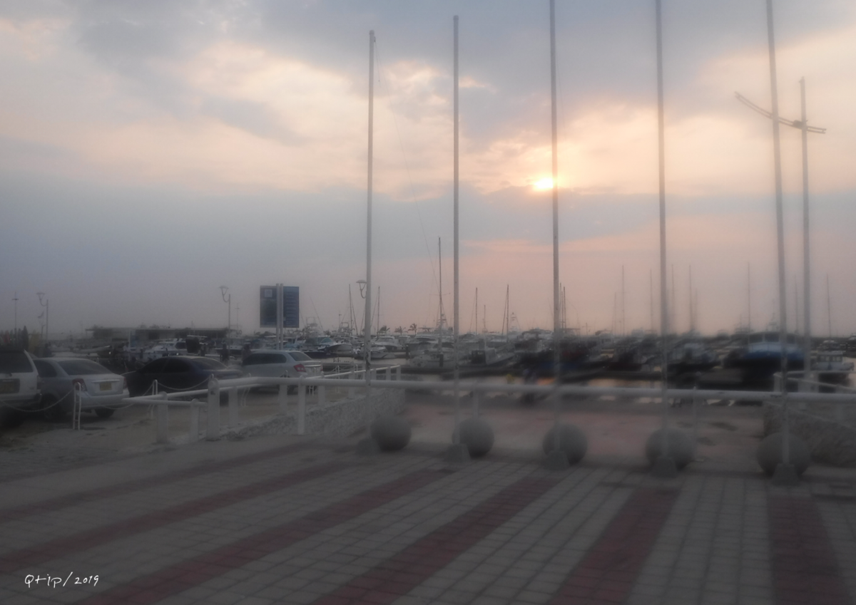 f:id:KijiB-co:20190629090628p:plain f:id:KijiB-co:20190629090628p:plain