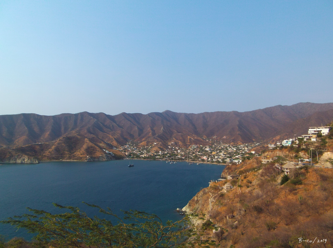 f:id:KijiB-co:20190704125953p:plain