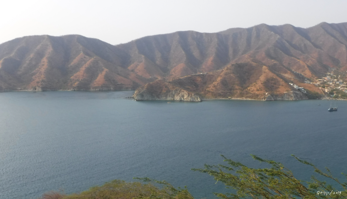 f:id:KijiB-co:20190704130029p:plain