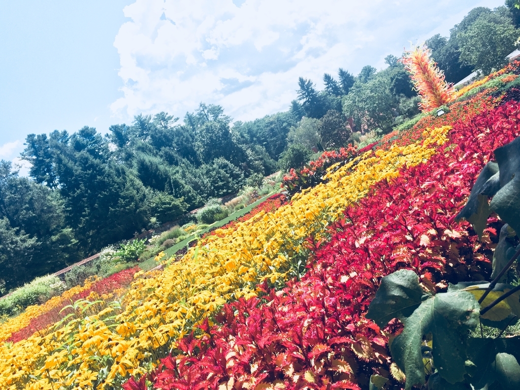 f:id:Kikii:20180904093406j:plain f:id:Kikii:20180904093406j:plain