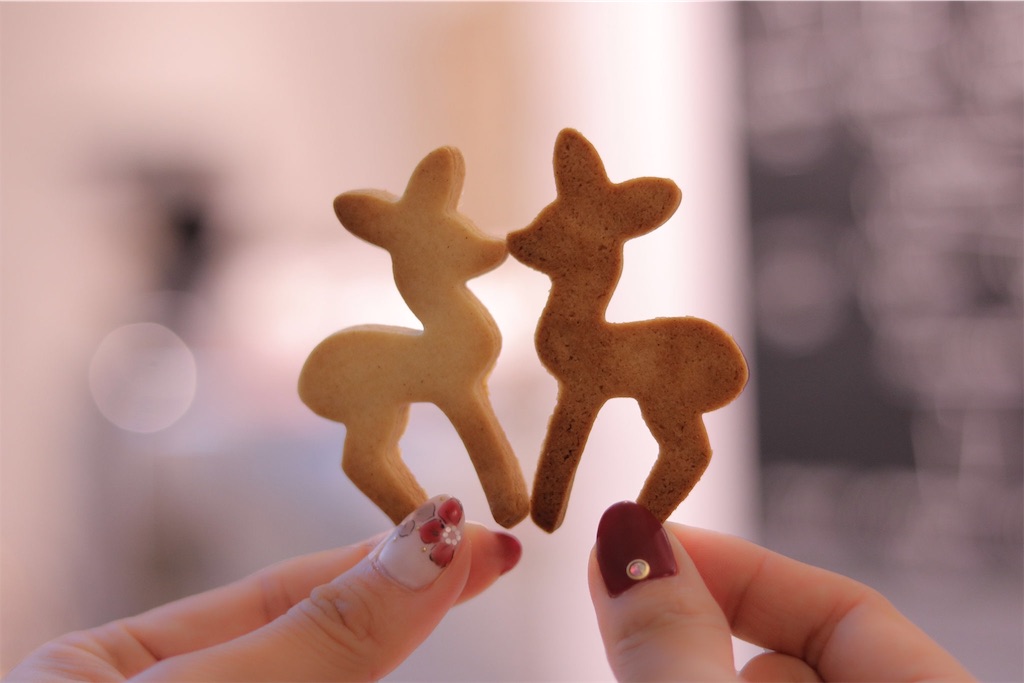 f:id:Kikko-bib:20180221123616j:image