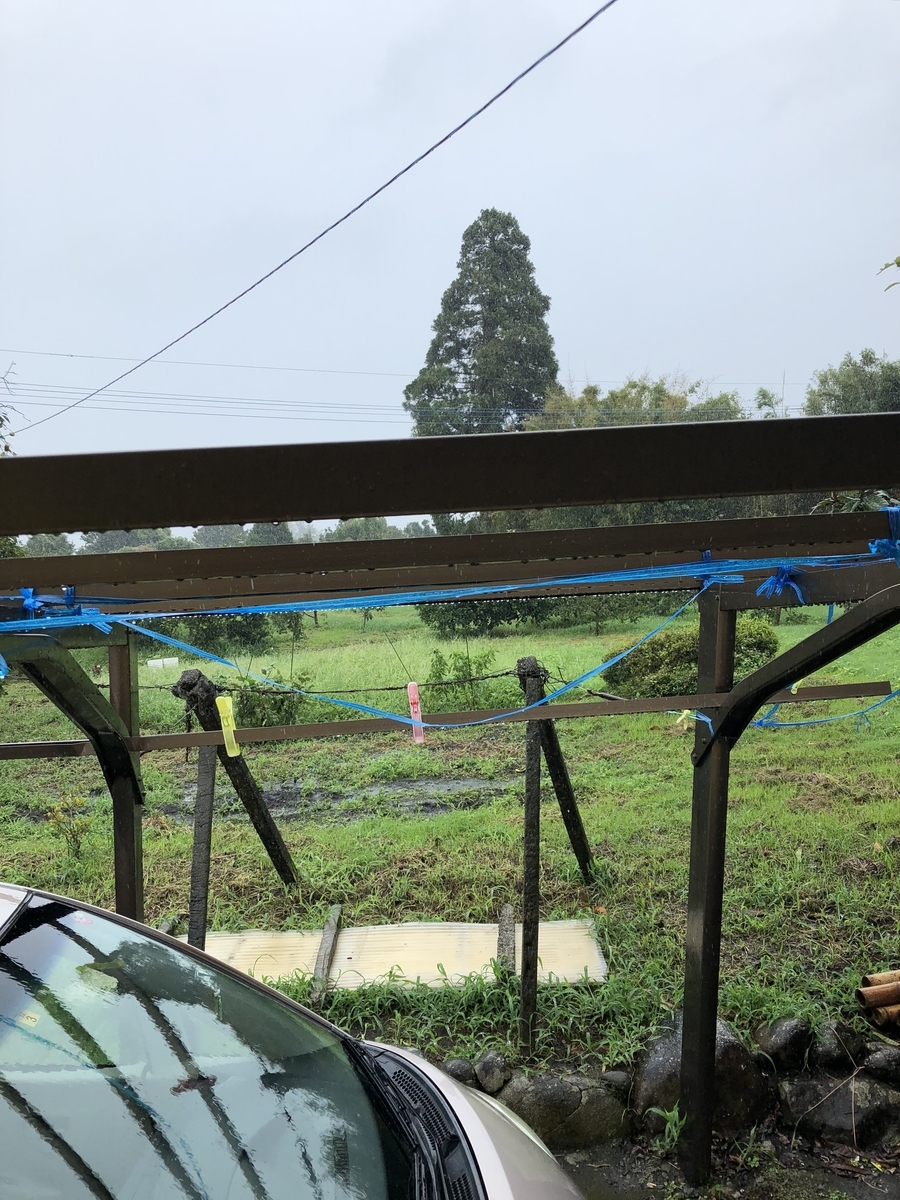 f:id:Kikouson:20190814103927j:plain f:id:Kikouson:20190814103927j:plain