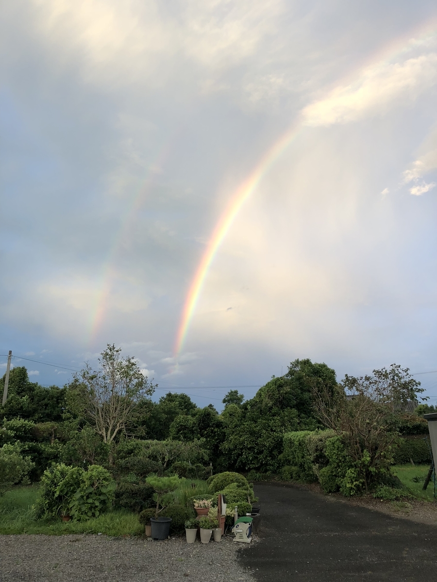f:id:Kikouson:20190816083427j:plain f:id:Kikouson:20190816083427j:plain
